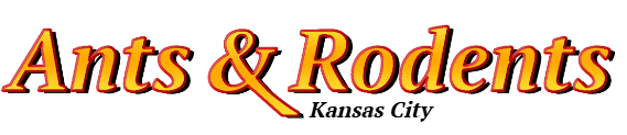 Kansas City Ant Exterminator & Rodent Control Company Logo